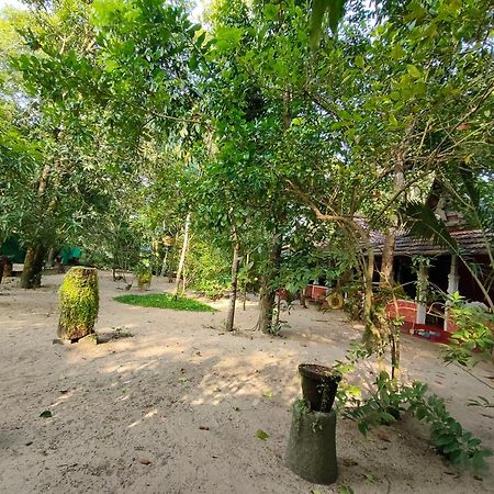 Abba Marari Beach Villas & Homestay Mararikulam Alappuzha Dış mekan fotoğraf