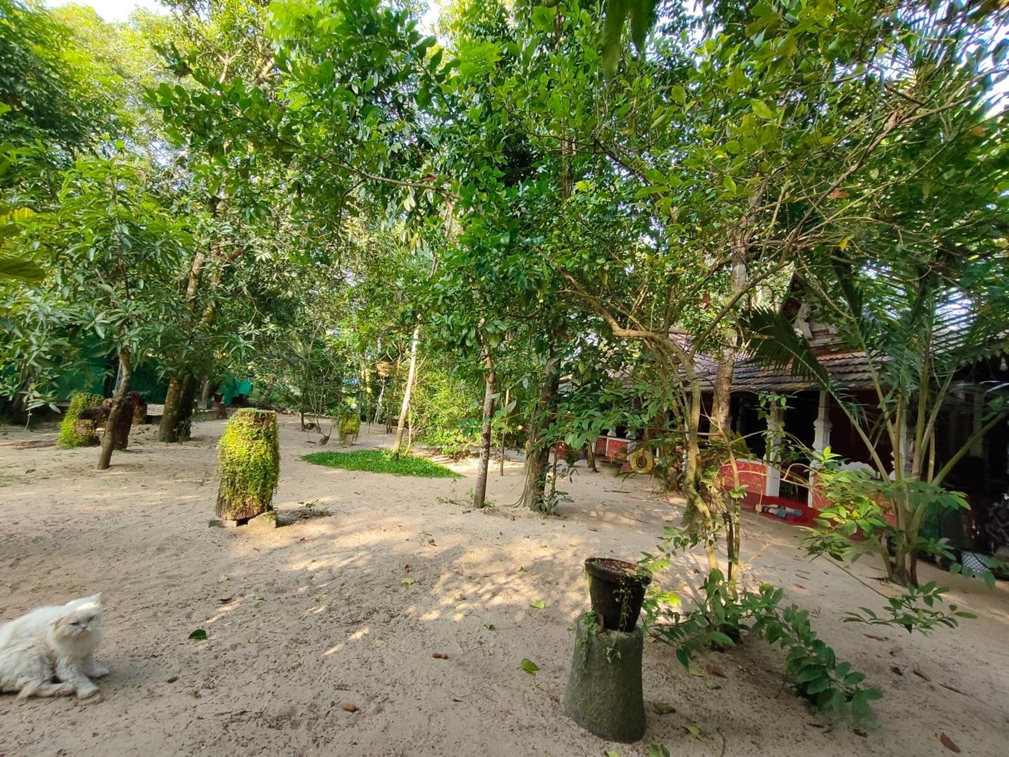 Abba Marari Beach Villas & Homestay Mararikulam Alappuzha Dış mekan fotoğraf